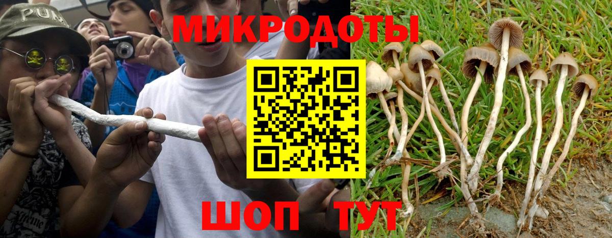 Псилоцибиновые грибы Psilocybe  Вход с VPN  Лабинск 